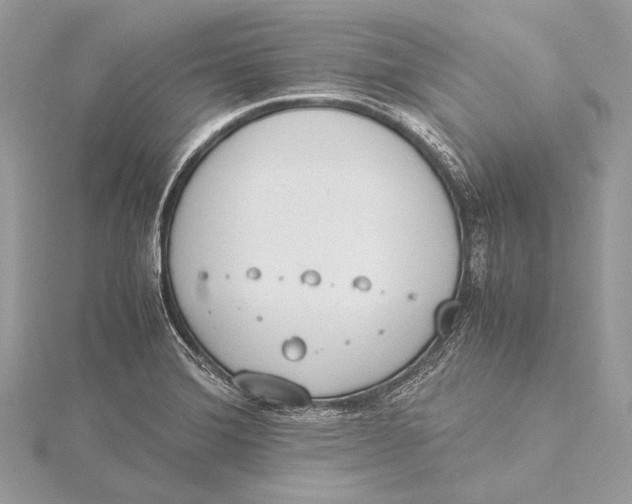 X0000115781372200912041443