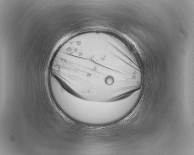 X0000115781373200912041443