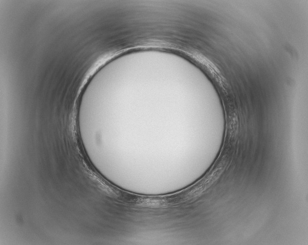 X0000115781374200912041443