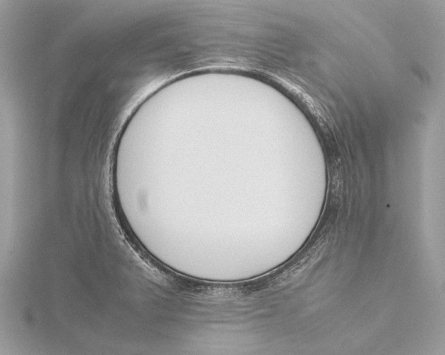 X0000115781375200912041443