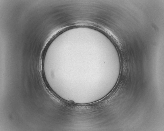 X0000115781376200912041443