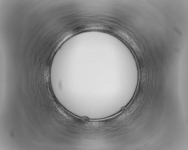 X0000115781377200912041443