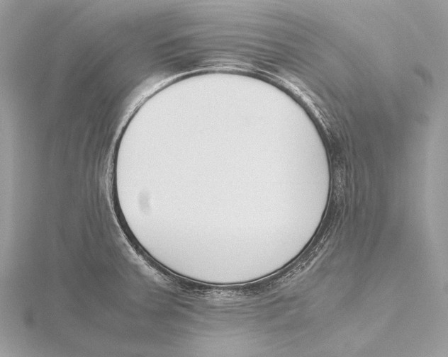 X0000115781379200912041443