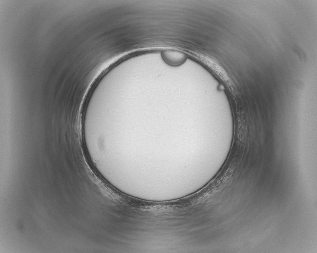 X0000115781380200912041443