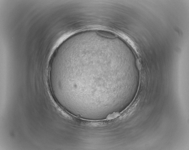 X0000115781381200912041443