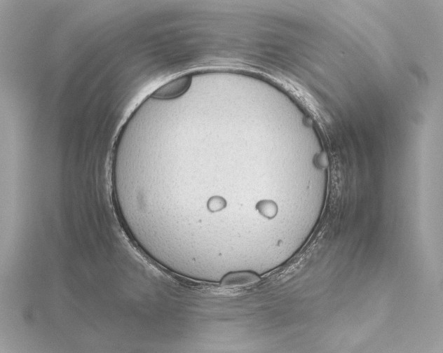 X0000115781382200912041443