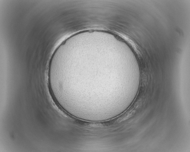 X0000115781383200912041443