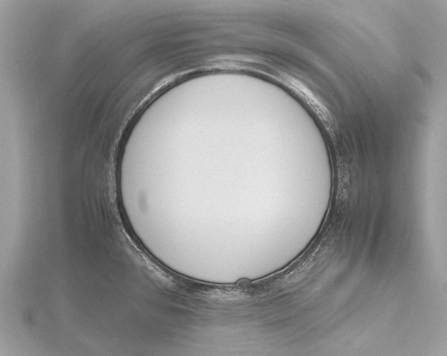 X0000115781384200912041443