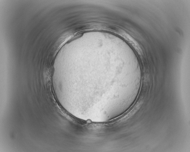 X0000115781385200912041443