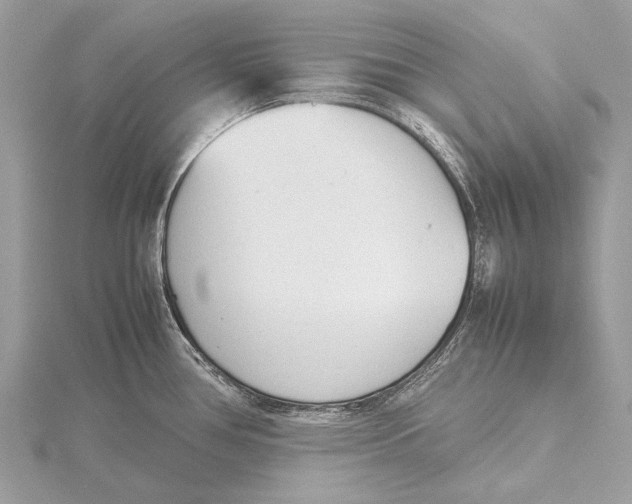 X0000115781386200912041443