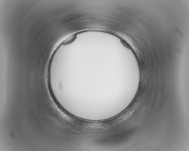 X0000115781387200912041443