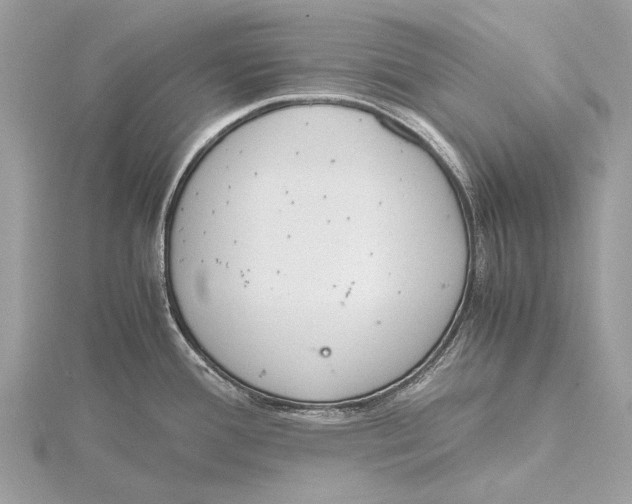 X0000115781388200912041443