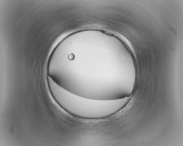 X0000115781389200912041442