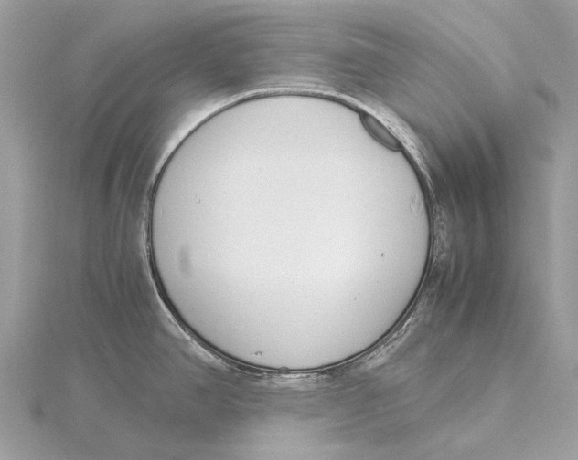 X0000115781390200912041442