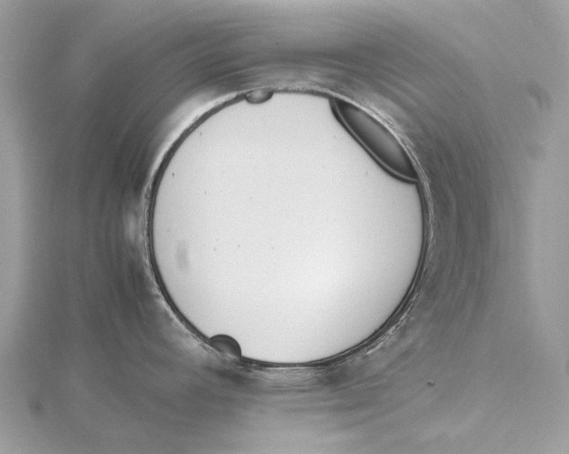 X0000115781392200912041442