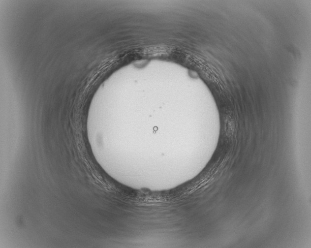 X0000115781393200912041442