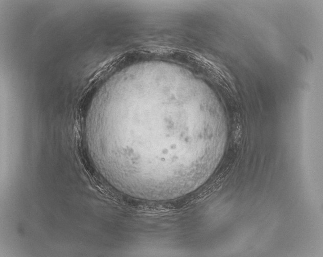 X0000115781397200912041442