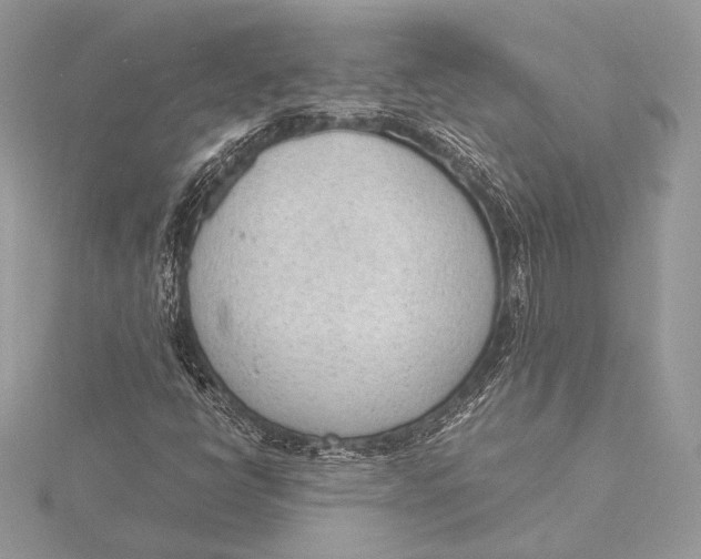 X0000115781398200912041442