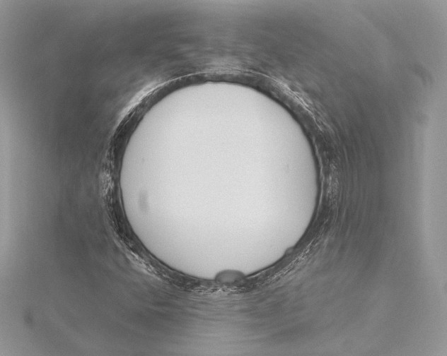 X0000115781400200912041442