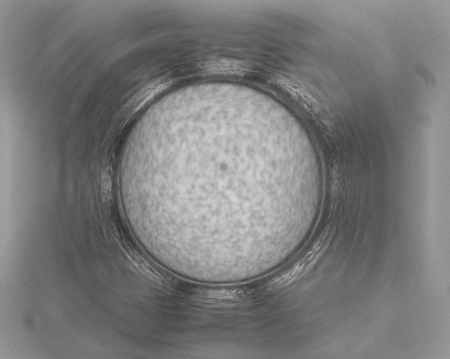 X0000115781401200912041442