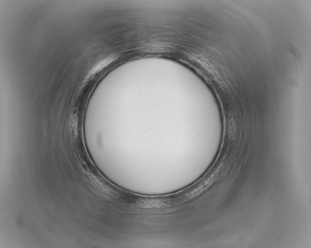 X0000115781402200912041442