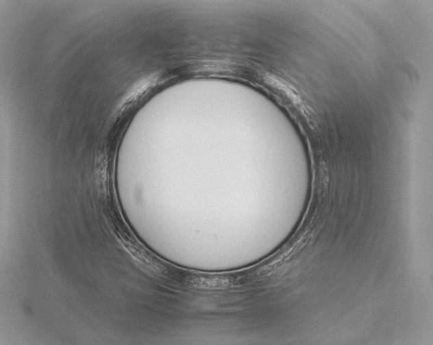 X0000115781403200912041442