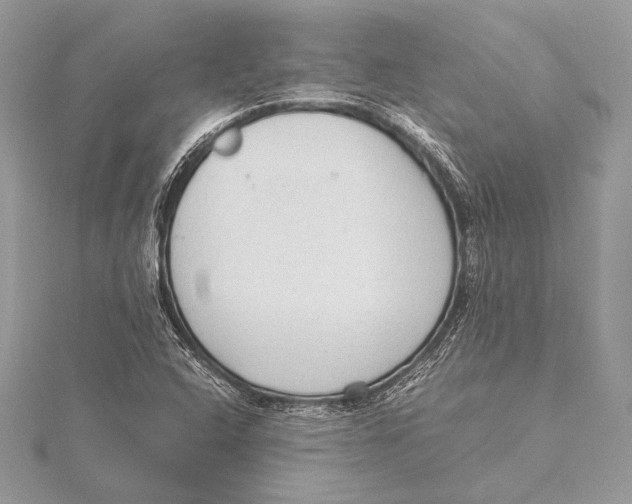 X0000115781408200912041442