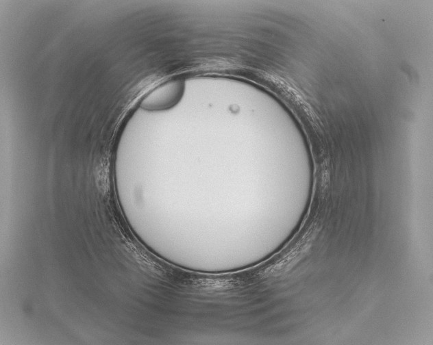 X0000115781409200912041442