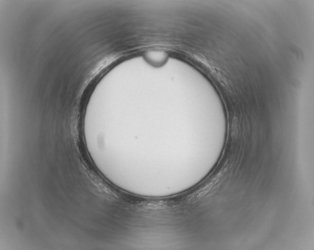 X0000115781410200912041442