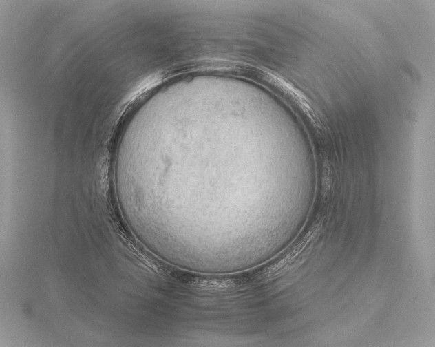 X0000115781411200912041442