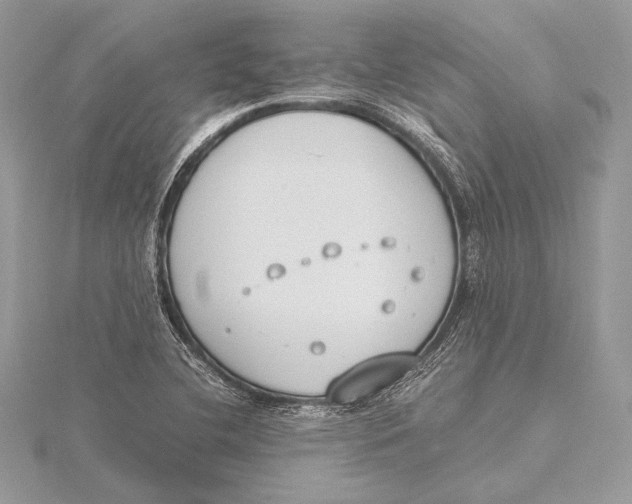 X0000115781412200912041442