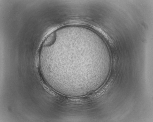 X0000115781413200912041442