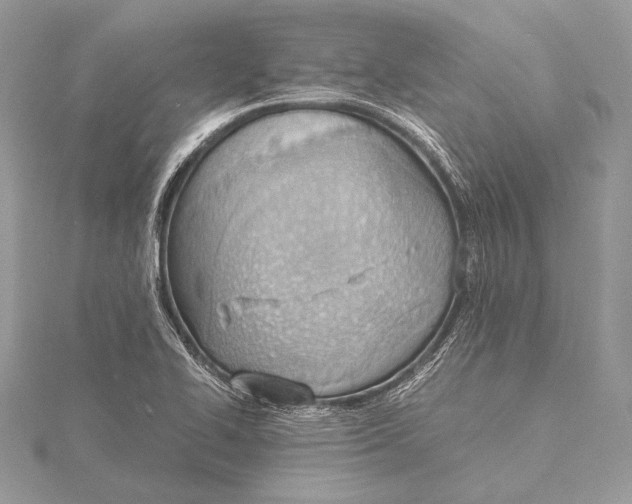 X0000115781414200912041442