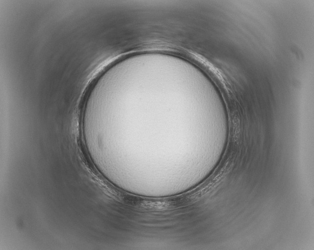 X0000115781415200912041442