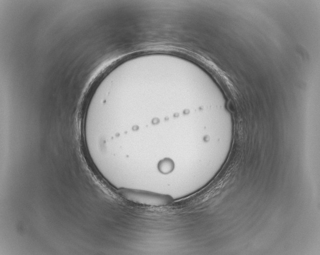 X0000115781416200912041442