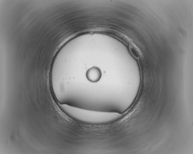 X0000115781417200912041442