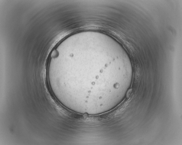 X0000115781418200912041442