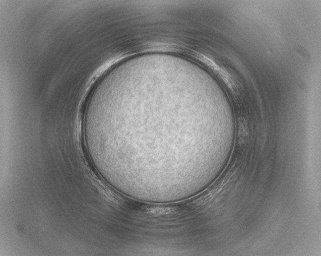 X0000115781419200912041442