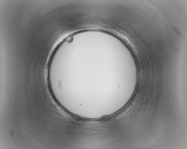 X0000115781424200912041442