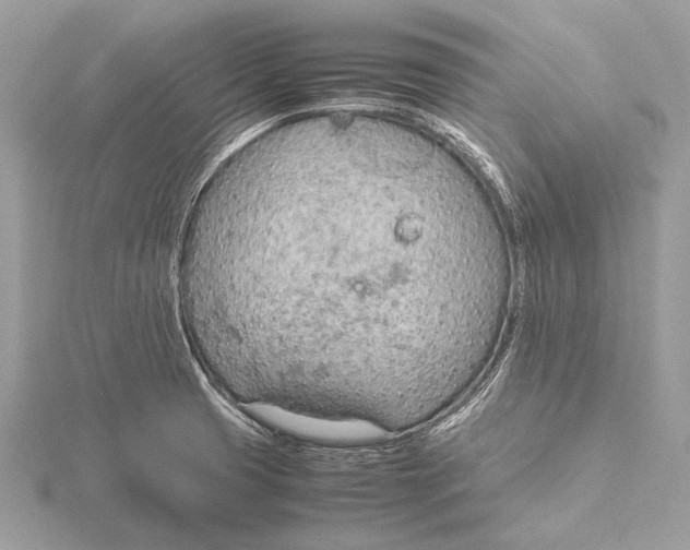 X0000115781425200912041442