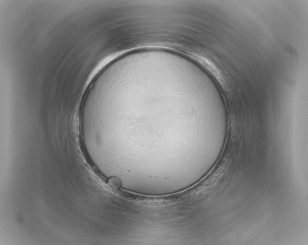 X0000115781428200912041442