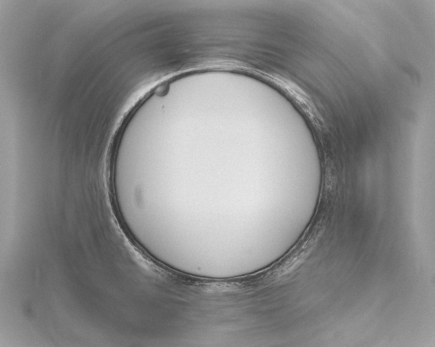 X0000115781430200912041442