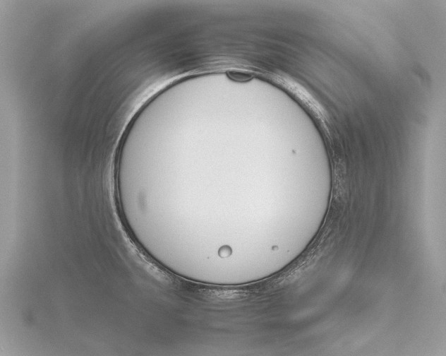 X0000115781431200912041442