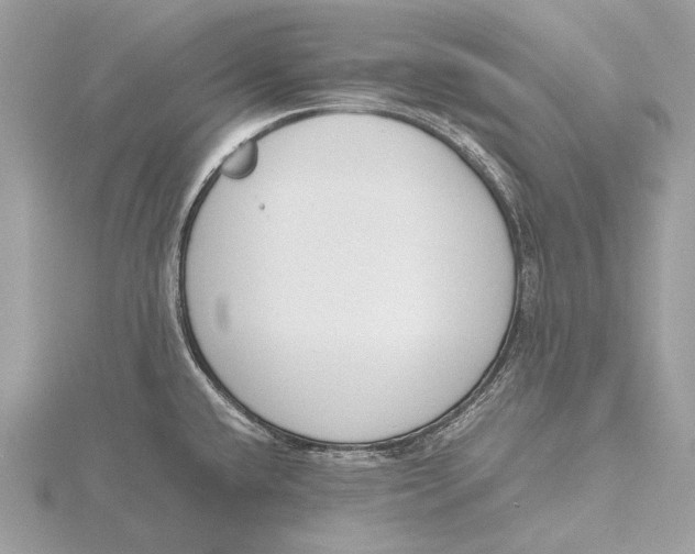 X0000115781432200912041442