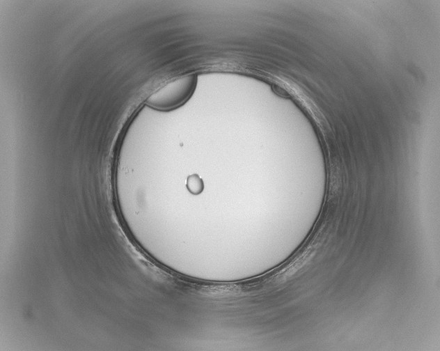 X0000115781434200912041442