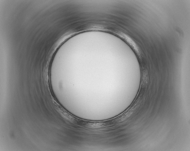 X0000115781435200912041442