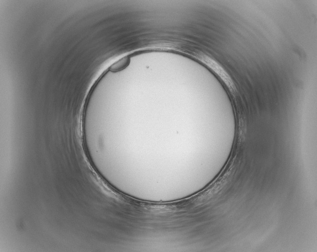 X0000115781436200912041442