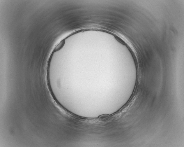 X0000115781437200912041442