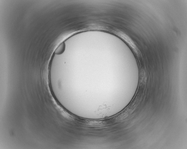 X0000115781439200912041442