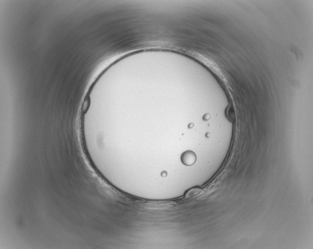 X0000115781440200912041442